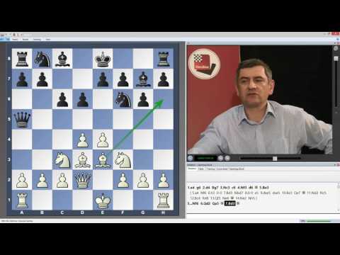 Victor Bologan - The Modern Pirc