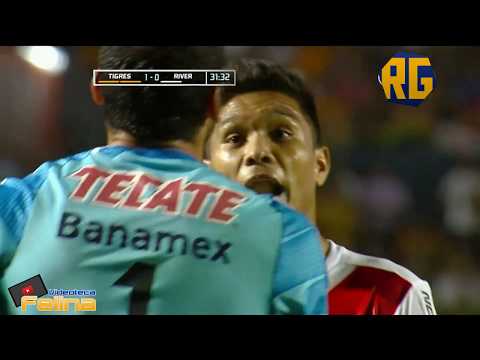 TIGRES 2-2 RIVER PLATE | J5 COPA LIBERTADORES 2015 | RESUMEN GOLES