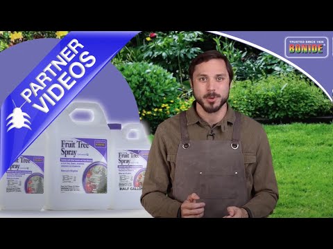  Bonide Fruit Tree Spray Concentrate Video 