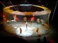Circus 1 25 09