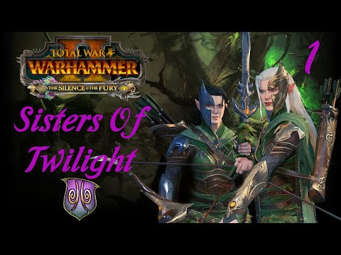 Clearing the Heathland - Sisters of Twilight Vortex Campaign #1 - Total War Warhammer 2