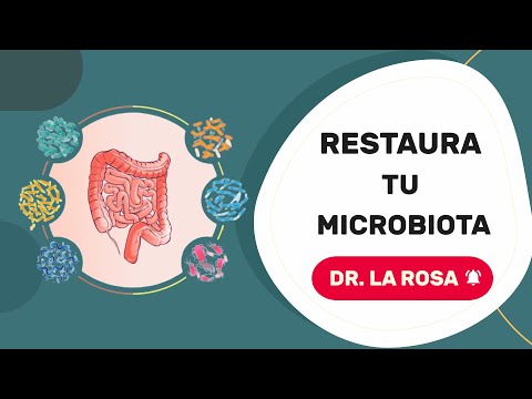 ⭐Strategies to restore the microbiota - Dr. La Rosa