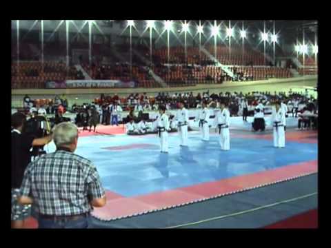 19th ITF World Championship in Brgaria Male Team Pattern Final Shibata JAPAN VS DPR Korea