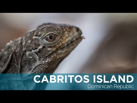 Cabritos Island Restoration Project