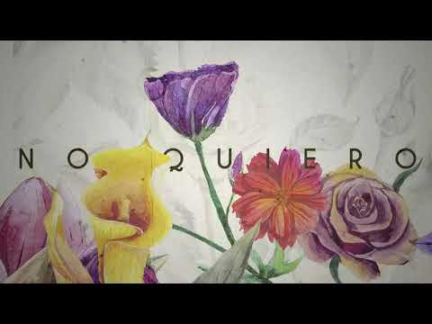 Lala Moré - No Quiero (Visualizer)