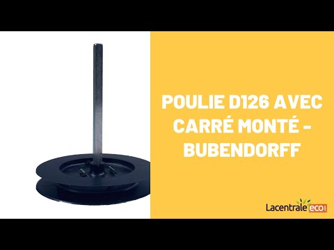 Poulie D126 avec carré de 8 monté - Bubendorff