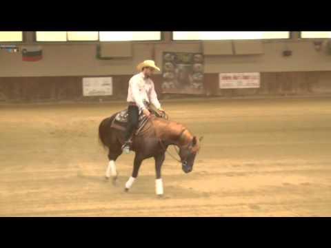 LENDI GENNARO - ARC SNAP CHIC