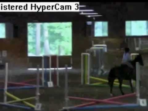 apple knoll horse show