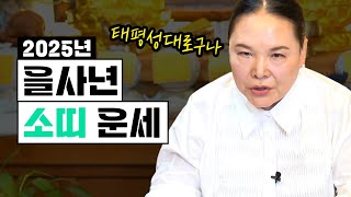 2025년 을사년 ‘소띠’ 운세