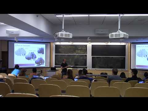 Introduction to Computer Graphics (fall 2019), Lecture 13: Texture mapping