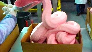 Pink Slime In McDonald's Burgers