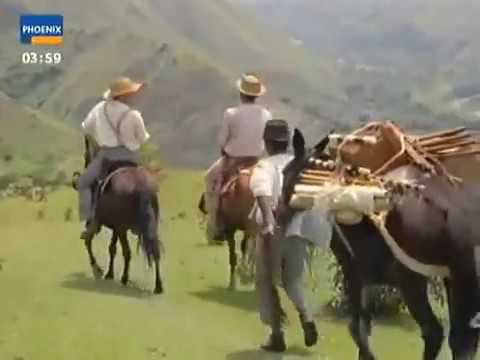 DOKU Terra X - 39 - Die Geister vom Fluss der Gräber - Indianer-Magie in Kolumbien