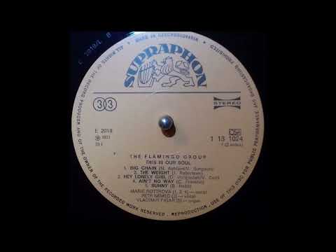 The Flamingo Group Feat. Marie Rottrová & Petr Němec  - Sunny (Vinyl HQ)