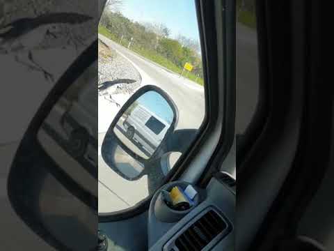 Die Wolfskehler Bachstelze