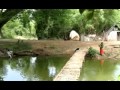 Ilayagaanam Ilayaraja Album Naaalaiyire Video Song