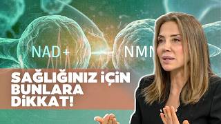 NAD Takviyeleri İşe Yarıyor mu? Doğru Bilinen Yanlışlar! Dr. Ayşegül Ç