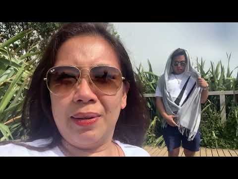 MURIWAI GANNET COLONY & BEACH | New Zealand | ICHAY RIZALYN VLOG