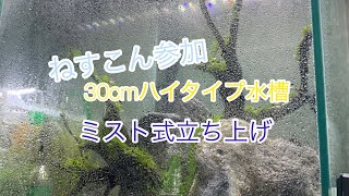 30cmハイタイプ水槽ミスト式立ち上げまでの工程