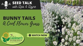 Seed Talk #86 - Bunny Tails - A 