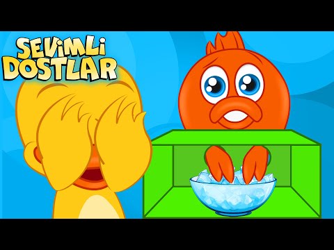 5 Duyu Şarkısı👂🏼👁️🖐🏼 | Sevimli Dostlar Bebek ve Çocuk Şarkıları | Adisebaba TV #sevimlidostlar