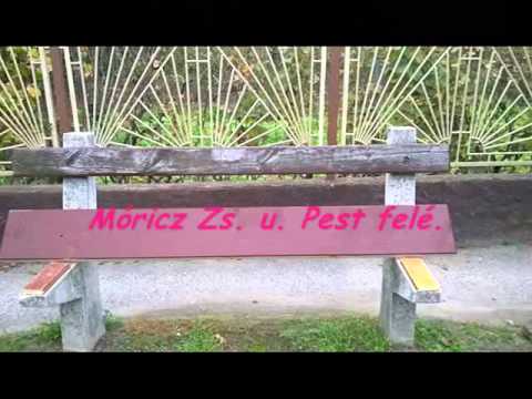 2014, Október 7 - 8