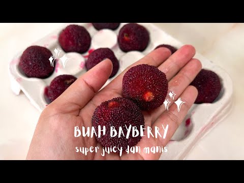 BEGINI BENTUK DAN RASA BUAH CHINESE BAYBERRY