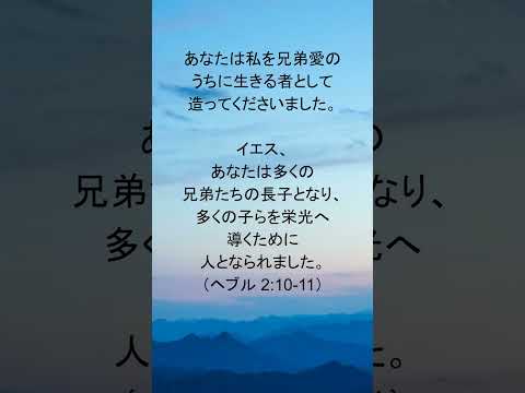 動画を再生