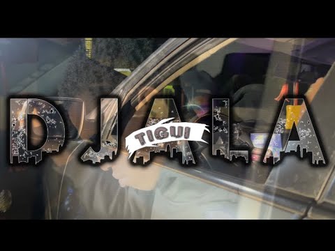 SCOTTY P - VIZUALIZER - DJALA TIGUI ( the life style)