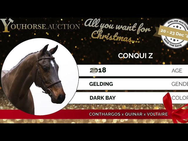 Conqui Z Jumping at Home