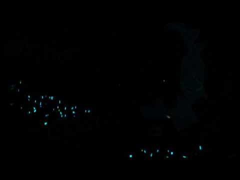 110910 SHINee World 19