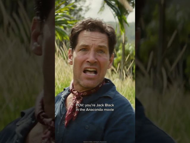 Just another normal day for Jack Black...