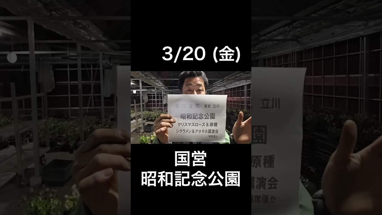 3/20 (金) 国営昭和記念公園 【イベント情報】  #クリスマスローズ #チカラコブ #横山園芸