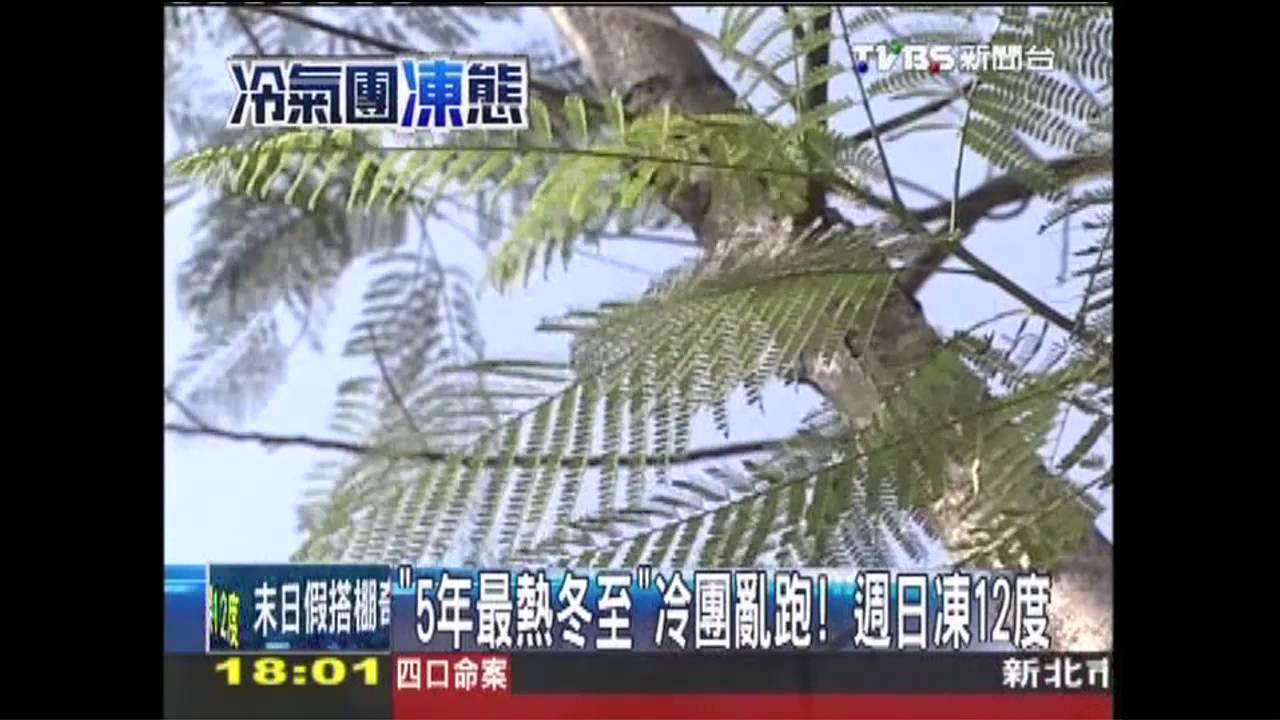 〈獨家〉「5年最熱冬至」冷團亂跑! 週日凍12度