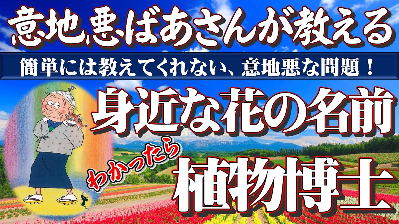 【意地悪ばあさんが教える身近な花の名前】すぐ分かったら「植物博士」②！