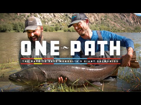 One Path - The Race To Save Mongolia's Giant Salmonids