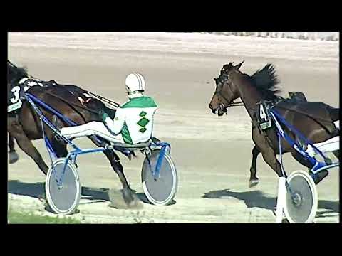 Napoli Trotto 14/01/2022 - 1ª corsa