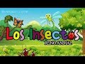 Los Insectos Reino Animal MundoKid Latino