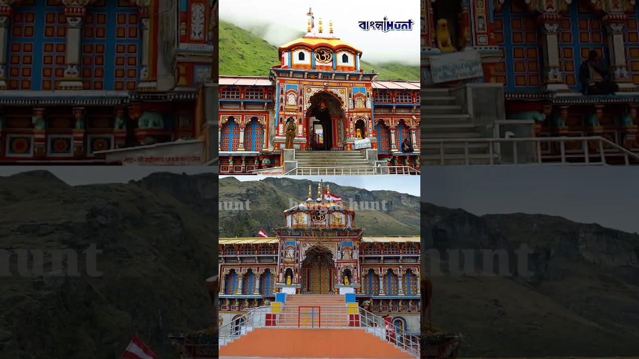 The Art of Baking: From Classic Bread to Artisan Pastries