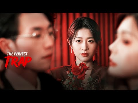 The Perfect Trap | DramaWave