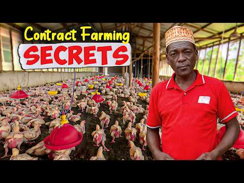 How This Ugandan Farmer is Raising 10,000 Chickens Through Contract Farming