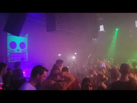 GRINSEKATZE MUNICH [2019]