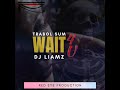 Trabol Sum - Wait 4 U feat. DJ Liamz (Official Audio)