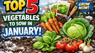 🎥 ✅ 🥬 Top 5 Vegetables to Sow in January 🌱 | Get a Head Start This Year! |