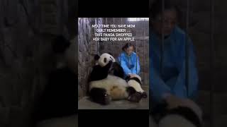 Download lagu Panda Mum's Hilarious Swap: Baby for Apple! 😂 | Parenting Humour mp3