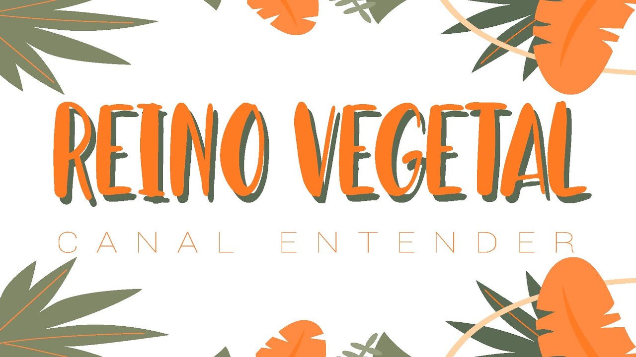 Reino PLANTAE - Resumão