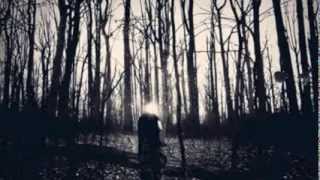 "An Interruption" by Robert S. Foote. © music and still, Olarfur Arnalds, voice M.J. Hummingway