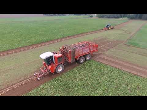 sugar beet harvesting | dewulf R9150 and Gilles RB 410T | 2x john deere 6190r with gilles ASC-48-32
