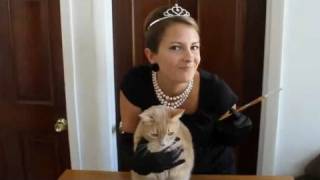 How to Make a Classic Movie Homemade Halloween Costume for Women