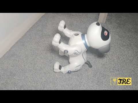 Intelligent Smart Robot Stunt Dog (Review)