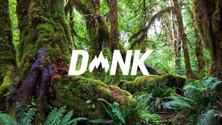 Rozes - R U MINE (StéLouse Remix)